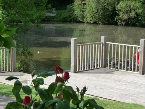 Spindlewood Country Holiday Park - Caravan Park Hastings Exteriér fotografie
